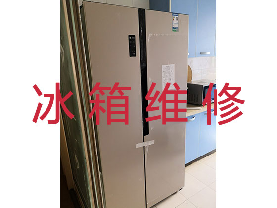 广州冰箱维修-冰柜维修